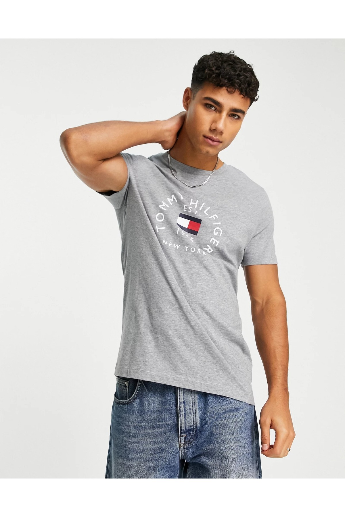 تی شرت مردانه طرح دار آستین کوتاه | تامی هیلفیگر Tommy Hilfiger MW0MW27909PRS