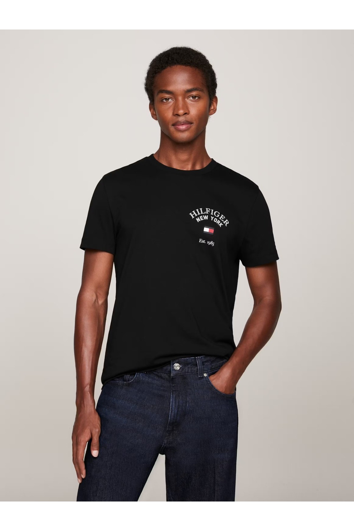 تی شرت مردانه طرح دار آستین کوتاه | تامی هیلفیگر Tommy Hilfiger MW0MW33689-TO