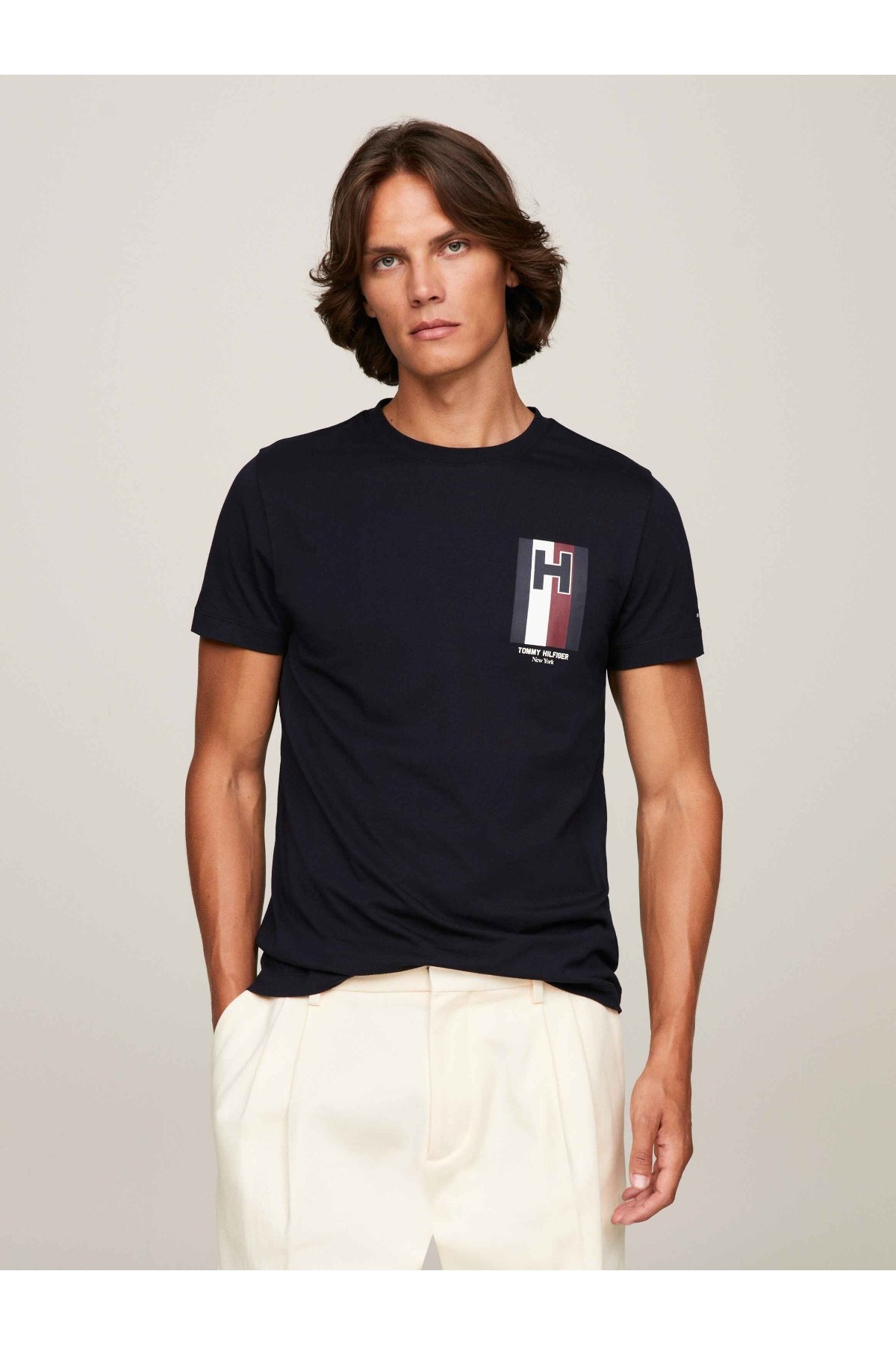 تی شرت مردانه طرح دار آستین کوتاه | تامی هیلفیگر Tommy Hilfiger MW0MW33687PRS