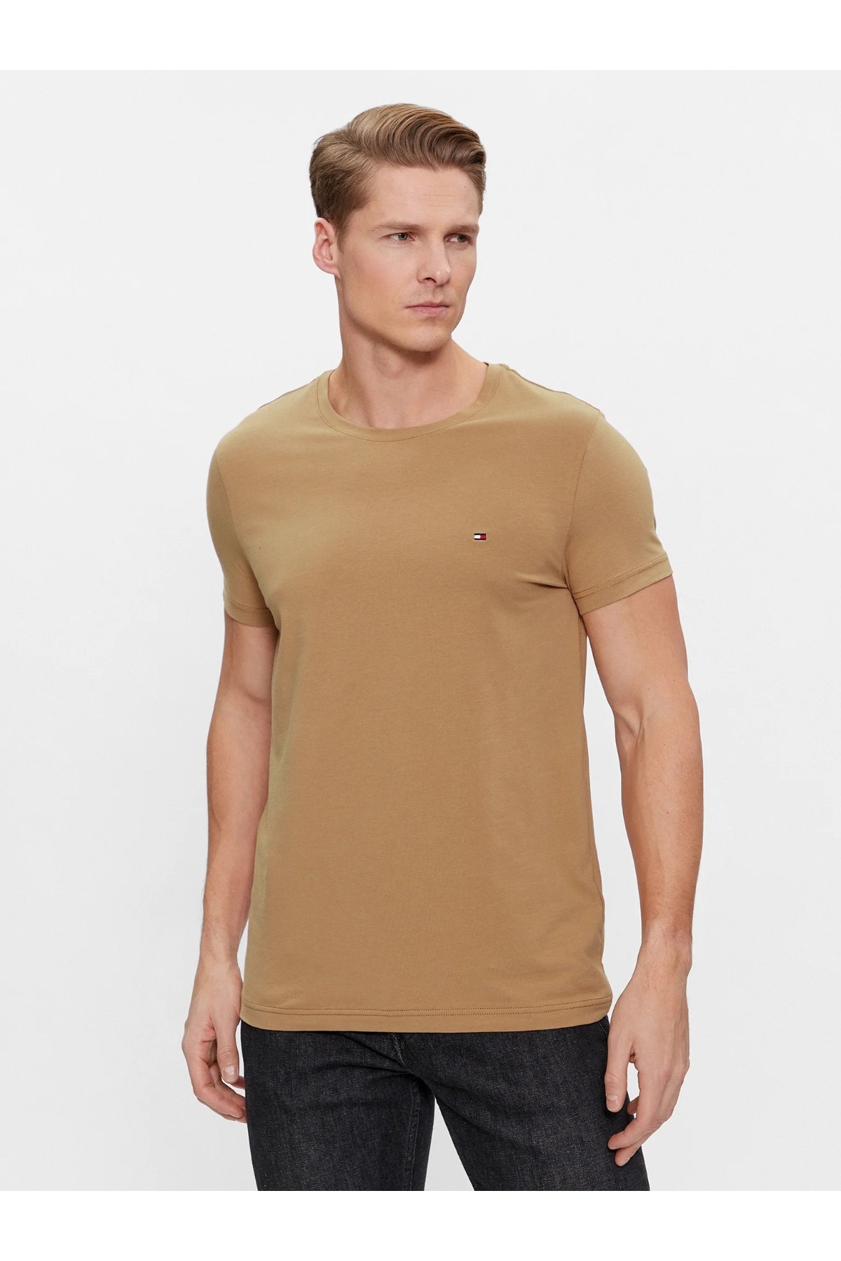تی شرت مردانه راسته آستین کوتاه | تامی هیلفیگر Tommy Hilfiger MW0MW10800ZE1-TH