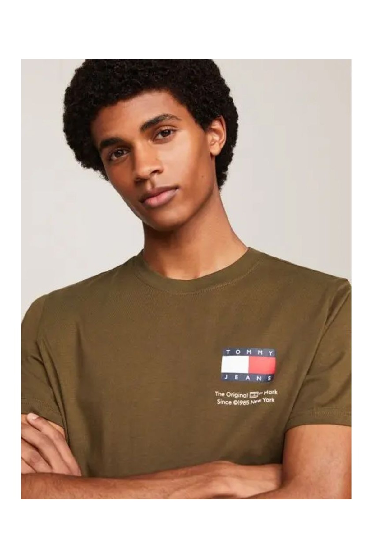 تی شرت مردانه طرح دار آستین کوتاه | تامی هیلفیگر Tommy Hilfiger DM0DM18263-TO