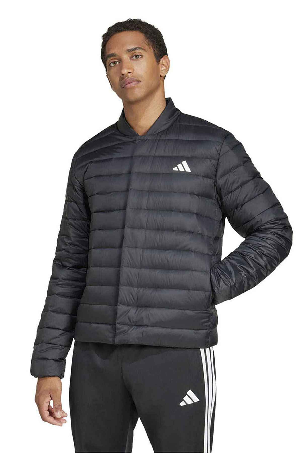 کاپشن مردانه راسته | آدیداس adidas JJ1198