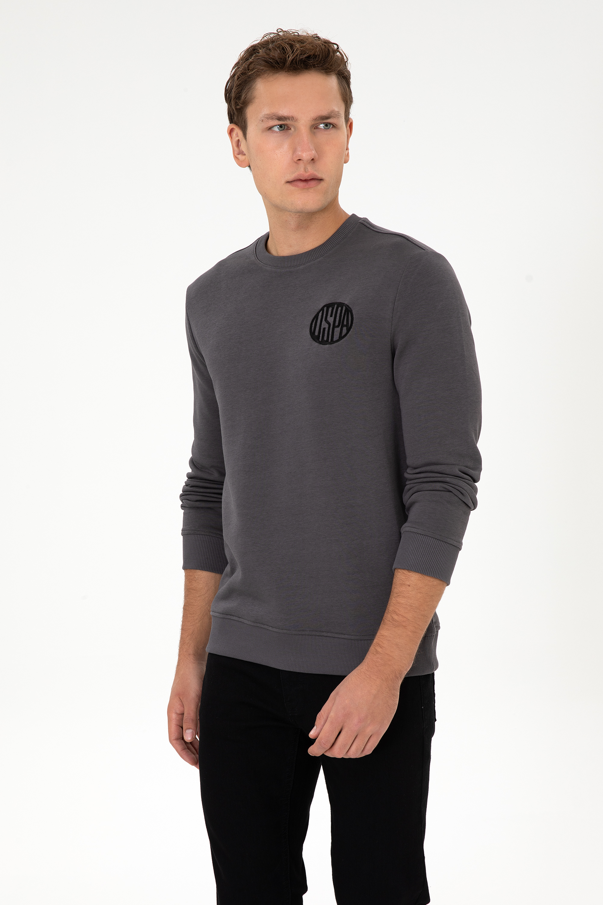 سویشرت یقه گرد خاکستری رگولار مردانه یو اس پولو | US POLO ASSN