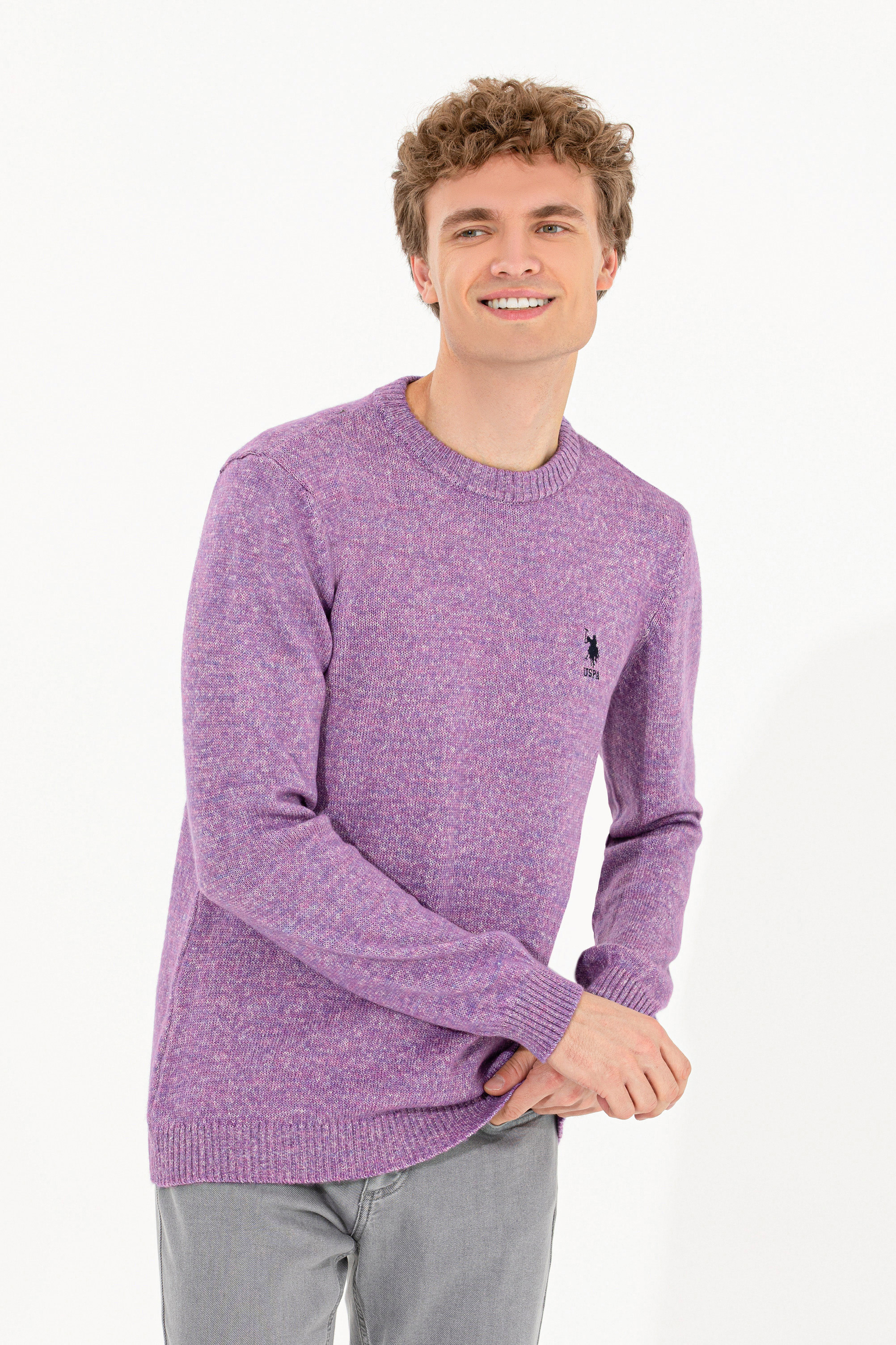 بافت یقه گرد بنفش رگولار مردانه یو اس پولو | US POLO ASSN