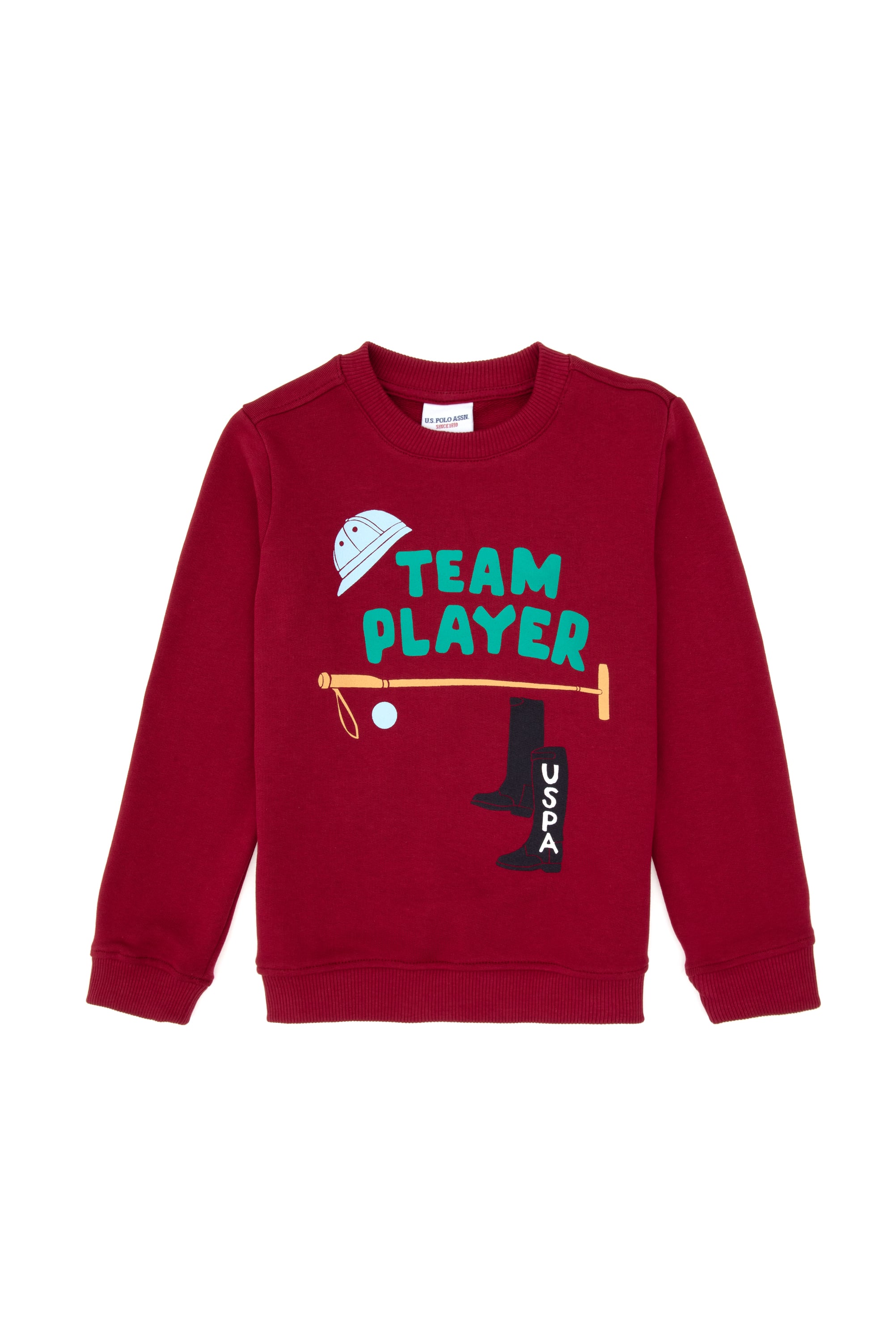 سویشرت تمشک تمشکی رگولار پسرانه یو اس پولو | US POLO ASSN