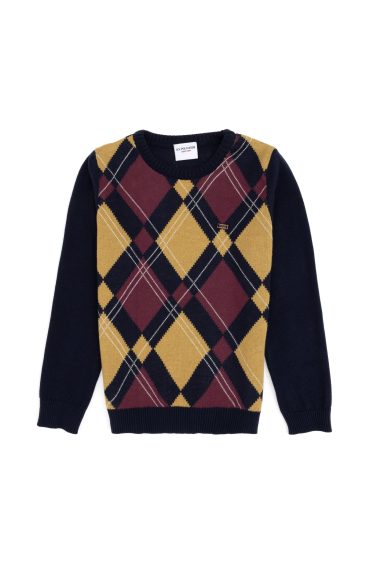 ژاکت یقه گرد  لاجورد  رگولار  پسرانه یو اس پولو | US POLO ASSN