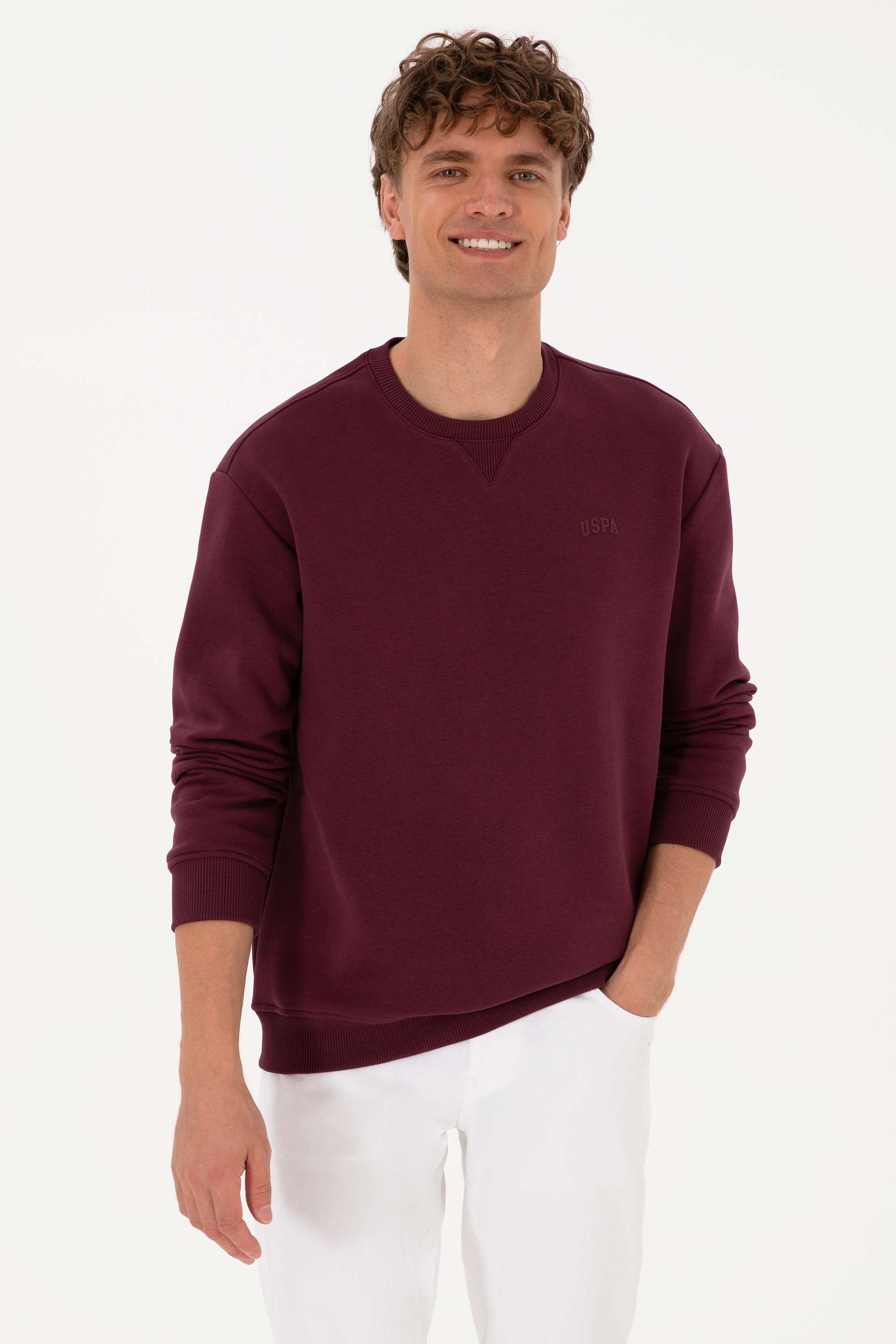سویشرت بیسیک آلبالویی ریلکس مردانه یو اس پولو | US POLO ASSN
