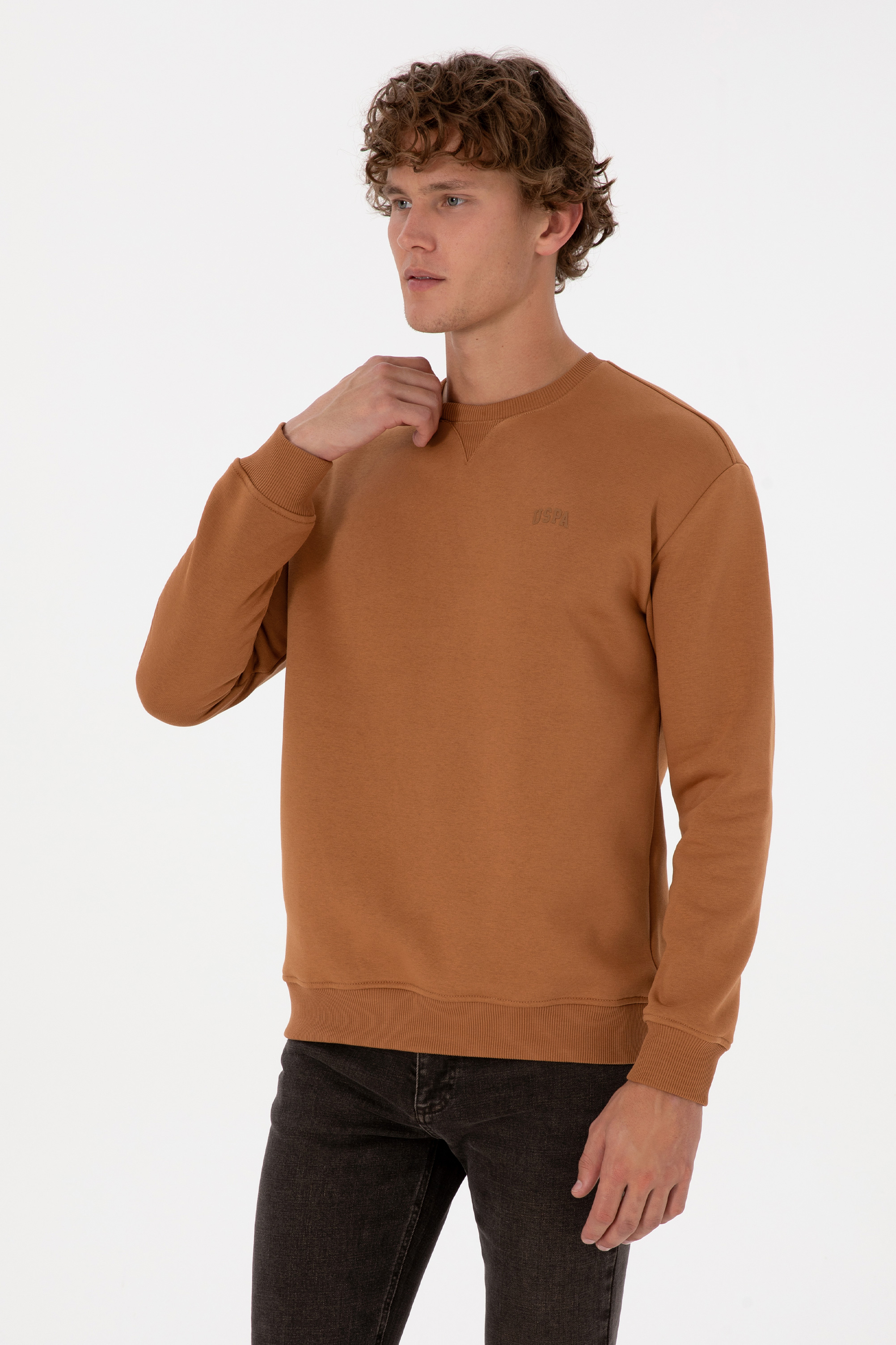 سویشرت بیسیک شتری ریلکس مردانه یو اس پولو | US POLO ASSN