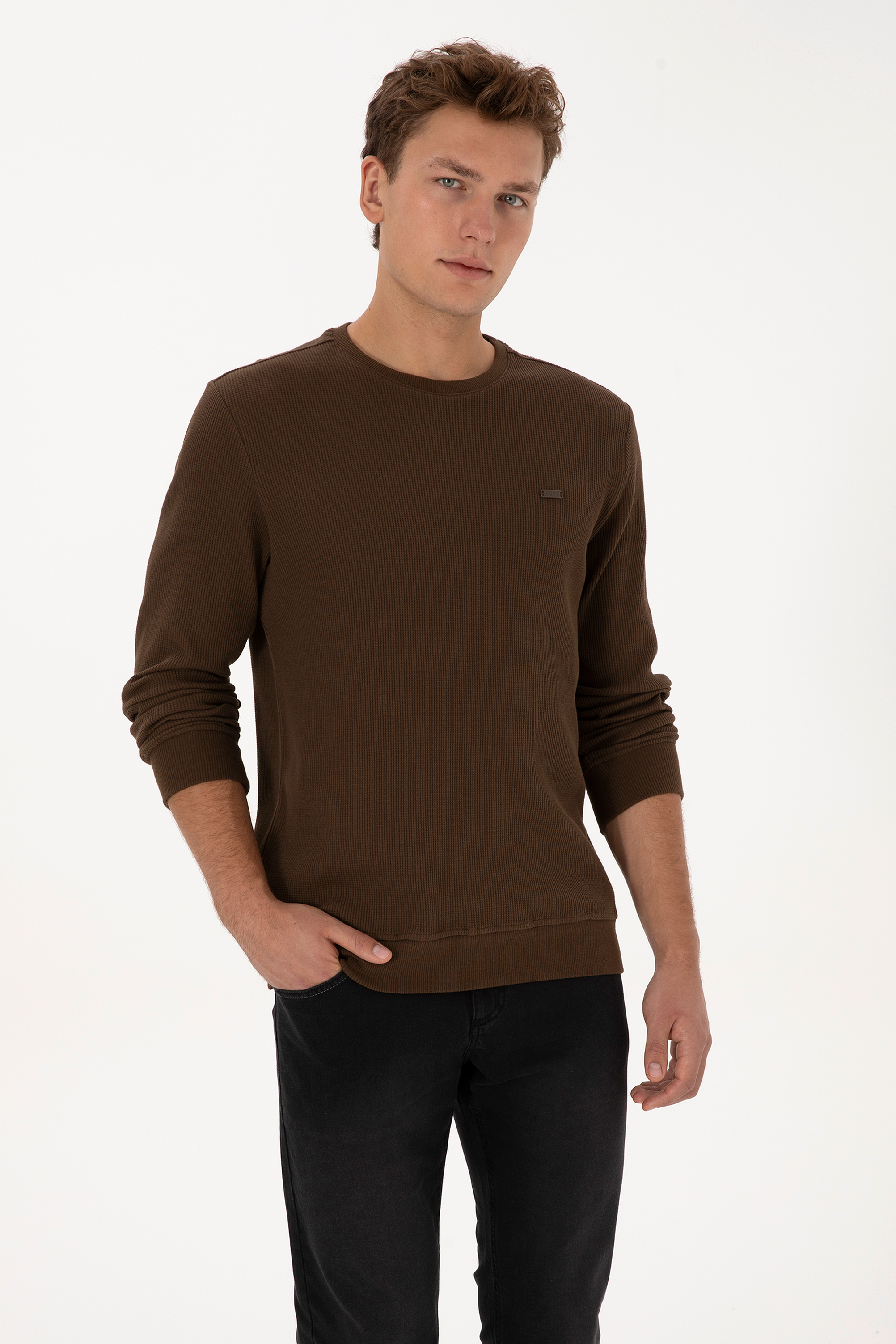 سویشرت قهوه ای رگولار مردانه یو اس پولو | US POLO ASSN
