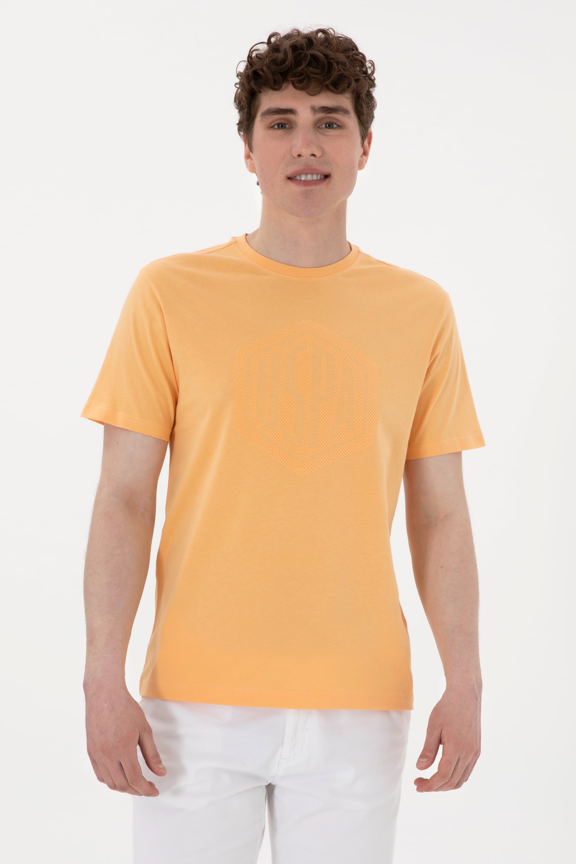 تی شرت یقه گرد یقه گرد زرد رگولار مردانه یو اس پولو | US POLO ASSN