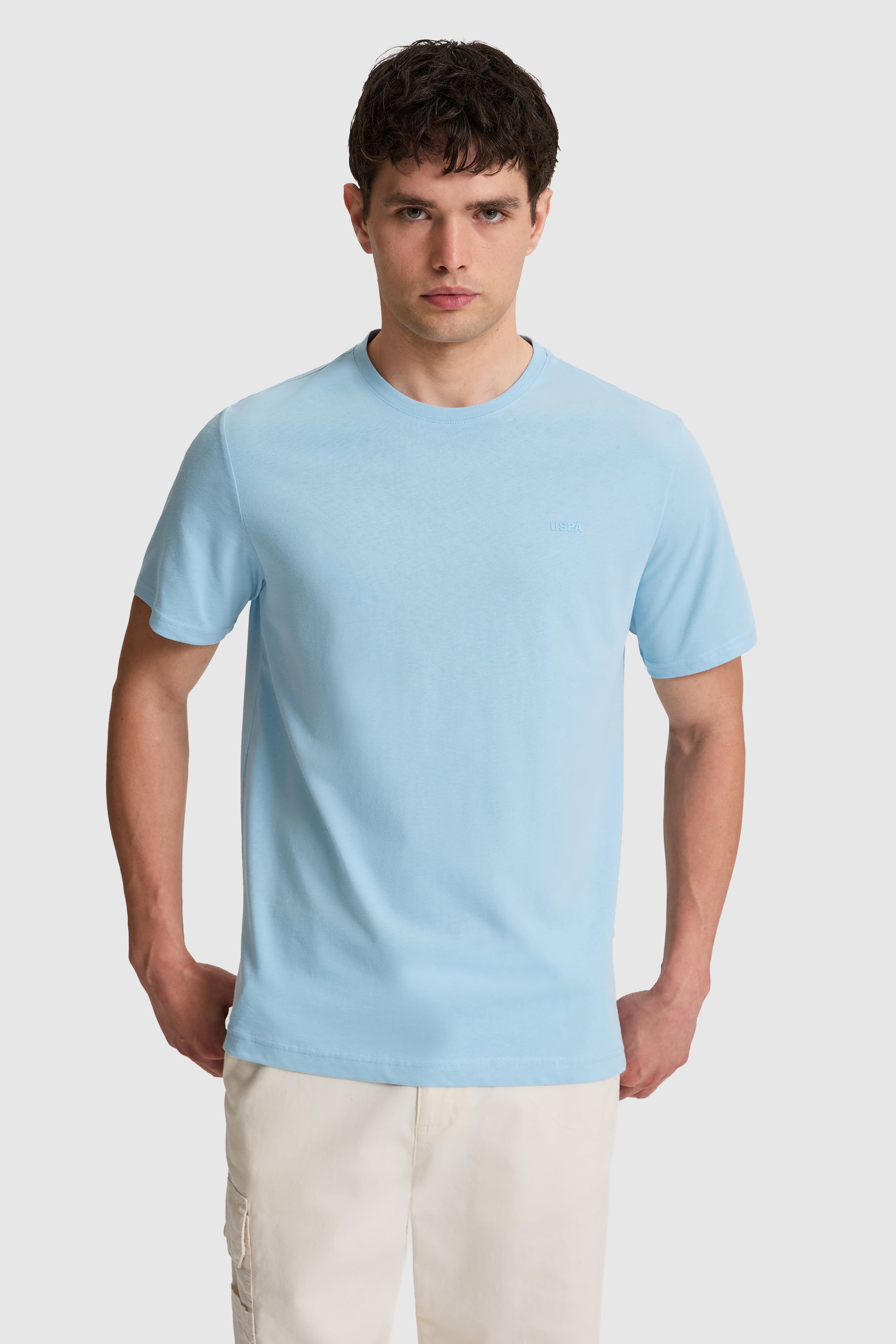 تی شرت یقه گرد آبی رگولار مردانه یو اس پولو | US POLO ASSN