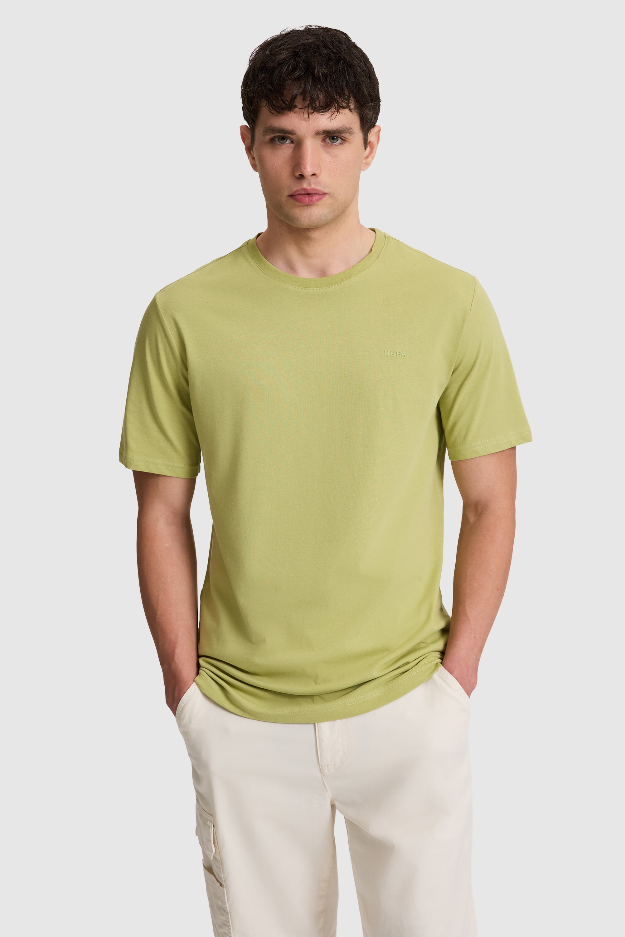 تی شرت یقه گرد سبز رگولار مردانه یو اس پولو | US POLO ASSN