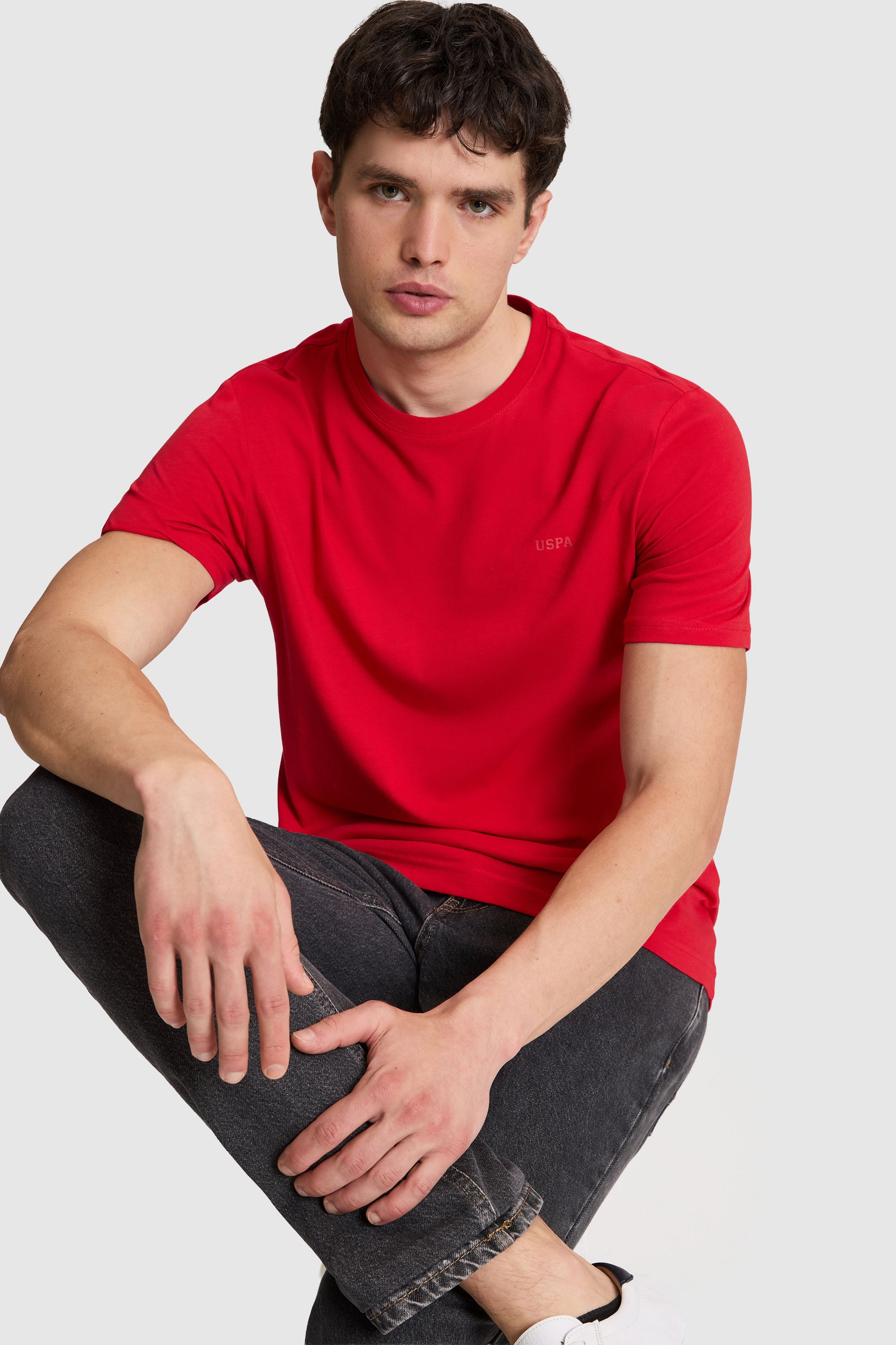 تی شرت یقه گرد قرمز رگولار مردانه یو اس پولو | US POLO ASSN
