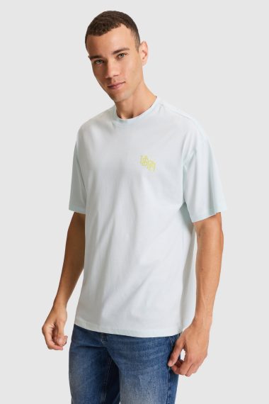 تی شرت یقه گرد  مرده  Oversize  مردانه یو اس پولو | US POLO ASSN