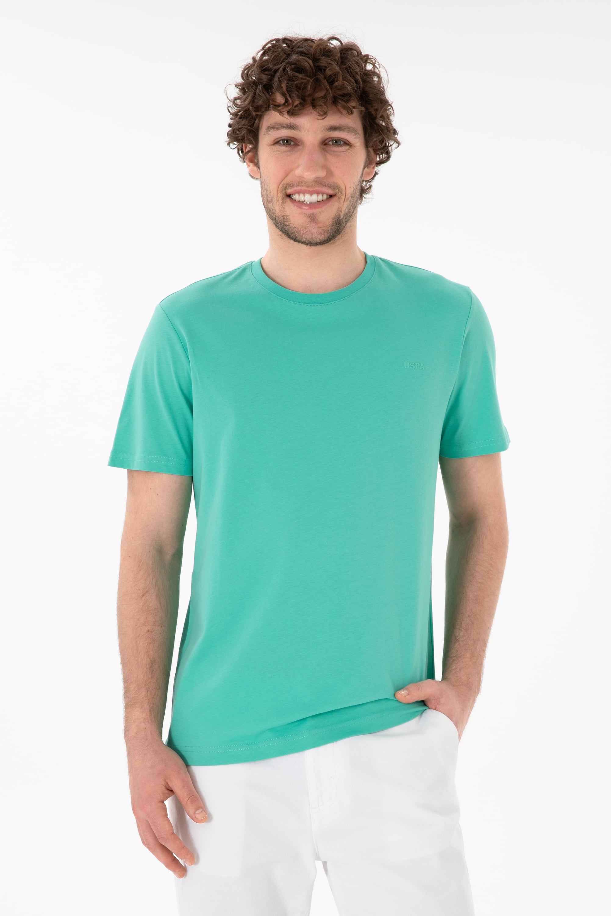 تی شرت یقه گرد یقه گرد نعناعی رگولار آستین کوتاه مردانه یو اس پولو | US POLO ASSN