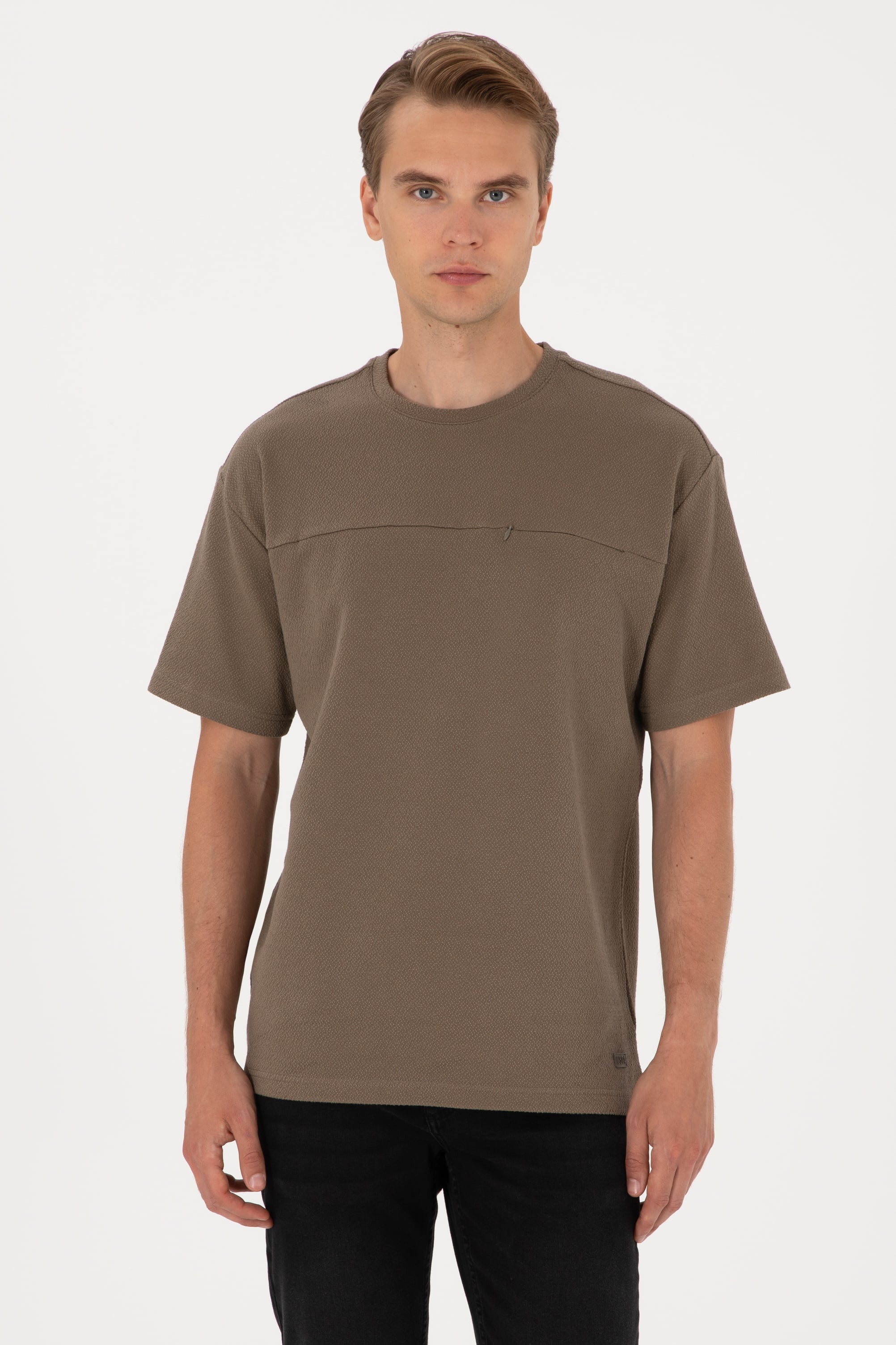 تی شرت یقه گرد یقه گرد ویزون ریلکس مردانه یو اس پولو | US POLO ASSN
