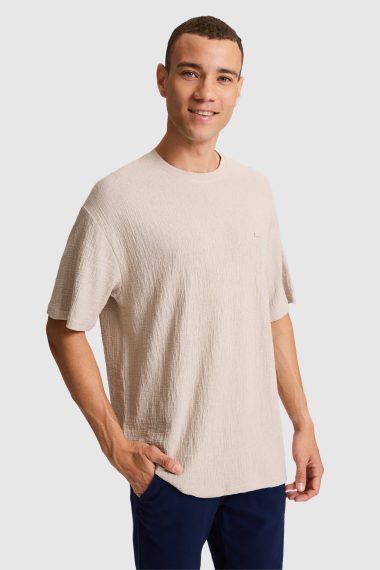تی شرت یقه گرد  خاکستری  ریلکس  مردانه یو اس پولو | US POLO ASSN