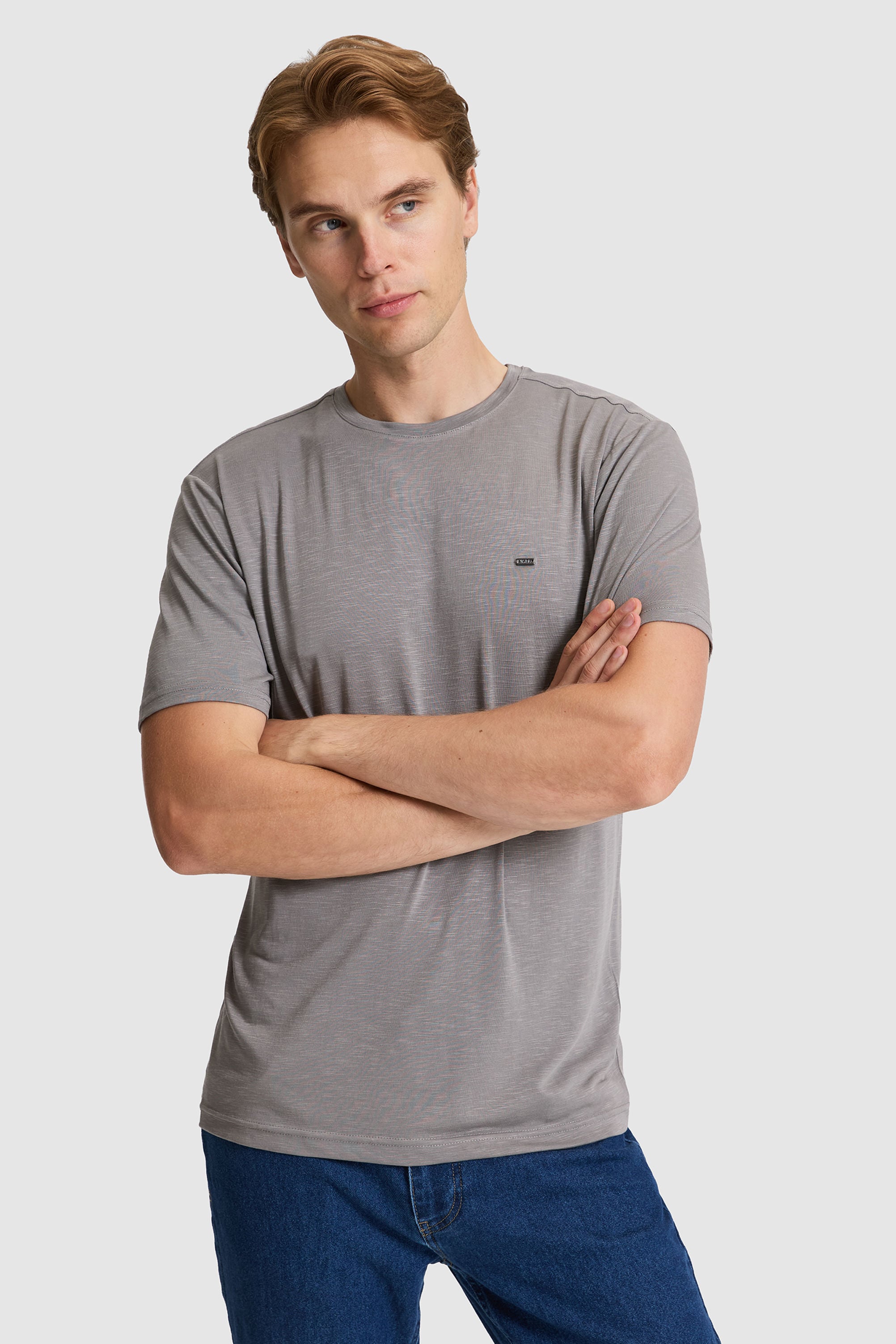 تی شرت یقه گرد خاکستری رگولار مردانه یو اس پولو | US POLO ASSN